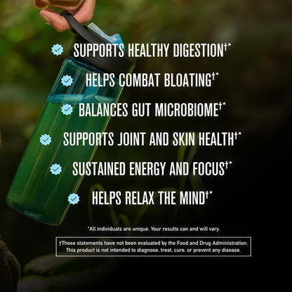 ROUNDHOUSE PROVISION Morning Kick, Zero Sugar Greens Superfood Powder Supplement with Ashwagandha, Collagen, Probiotics, Debloat Drink, 30 Servings (Strawberry Lemonade) by Chuck Norris